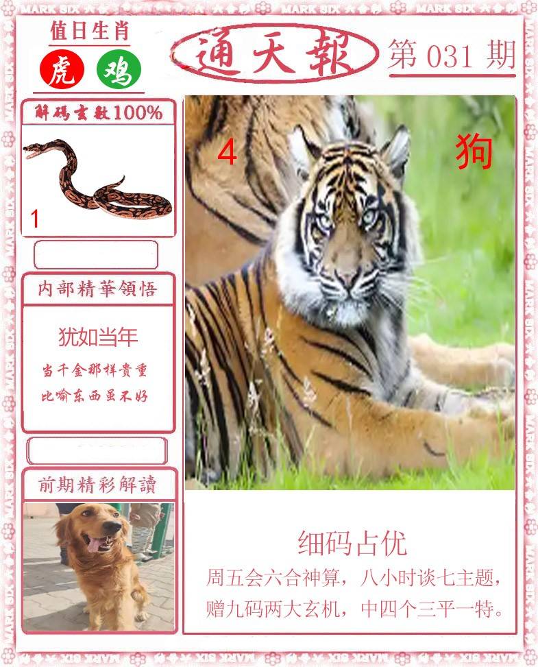 正版通天报