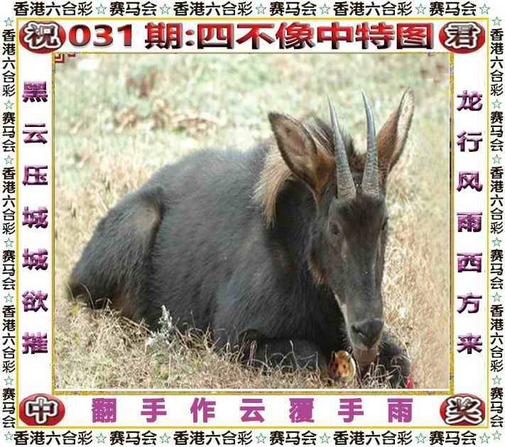 正版四不像