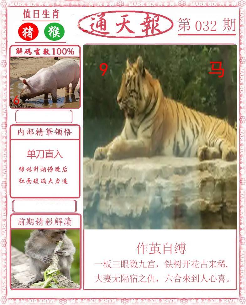 正版通天报